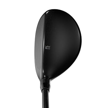 COBRA AEROJET  6H 28° 希少KBS プロトタイプ　95S COBRA AEROJET 6H 28° 希少KBS プロトタイプ 95S ゴルフ